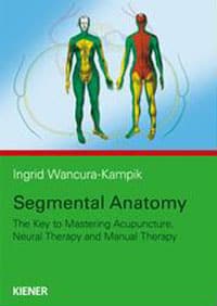 Segmental Anatomy