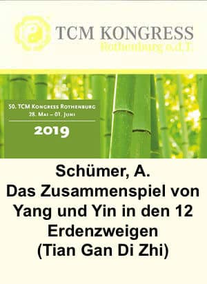 Das Zusammenspiel von Yang und Yin in den 12 Erdenzweigen Tian Gan Di Zhi (Video)