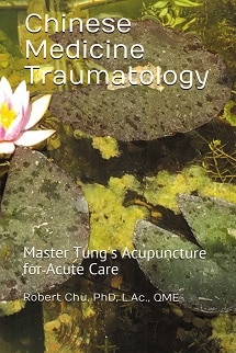 Chinese Medicine Traumatology